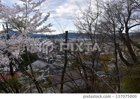 日本岐阜縣高山市:中橋中心區域美麗的街景。櫻花盛開,宮川蜿蜒流淌,新舊房屋交相輝映。此景攝於城山公園。 日本岐阜縣高山市:中橋中心區域美麗的街景。櫻花盛開,宮川蜿蜒流淌,新舊房屋交相輝映。此景攝於城山公園。 137075800