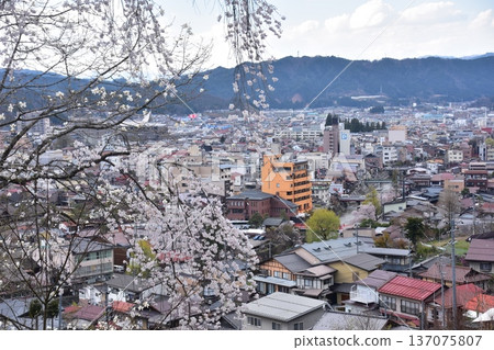 日本岐阜縣高山市：中橋中心區域美麗的街景。櫻花盛開，宮川蜿蜒流淌，新舊房屋交相輝映。此景攝於城山公園。 137075807