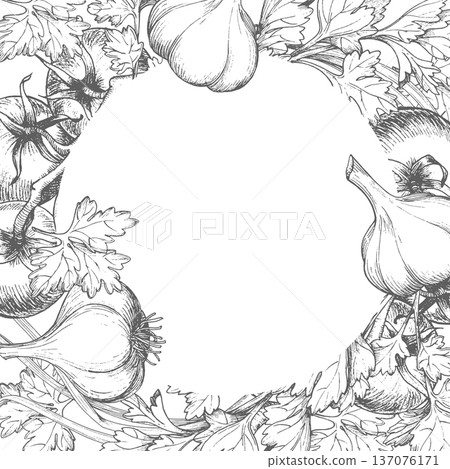 Square frame of the tomatoes, parsley, green onion and garlic. Vector ink styled handmade illustration. For packaging design, cards, cover, prints, product labels and fabric. 137076171