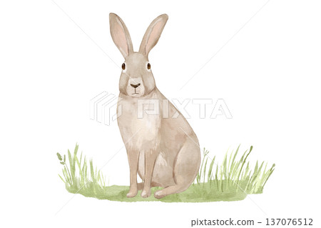 Watercolour cute rabbit on grass. Woodland hand drawn isolated illustration, animal on lawn for cards and posters. Watercolour cute rabbit on grass. Woodland hand drawn isolated illustration, animal on lawn for cards and posters. 137076512