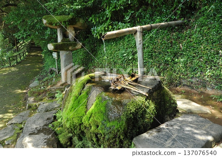 出雲神社 137076540