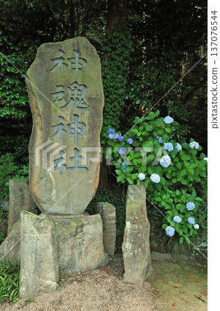 出雲神社 137076544