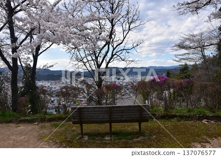 日本岐阜縣高山市中心，面向中橋方向，景色優美。櫻花盛開，公園長椅點綴其間。此景攝於城山公園。 137076577