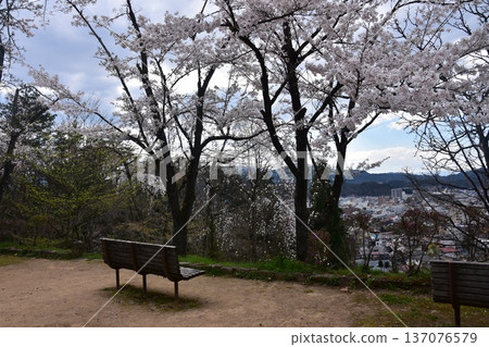 日本岐阜縣高山市中心，面向中橋方向，景色優美。櫻花盛開，公園長椅點綴其間。此景攝於城山公園。 137076579