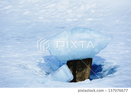 Mushroom ice Mushroom ice 137076677
