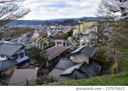 Takayama City, Gifu Prefecture, Japan: Cherry blossoms in full bloom and beautiful streetscape. Old and new houses in the downtown area. View from Shiroyama Park. 137076822