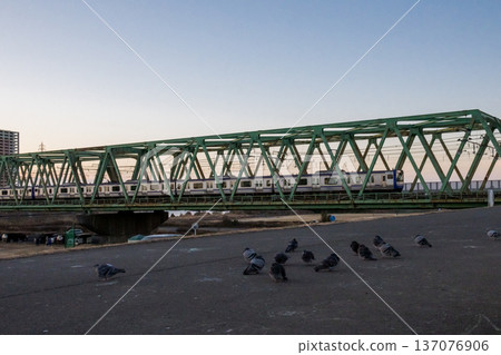 [Sobu Main Line] Early morning pigeons and Sobu Line trains 137076906