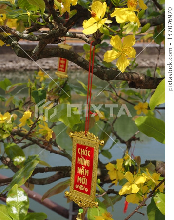 Scenery of Hue, Vietnam 137076970