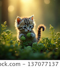 Kitty in the forest 137077137