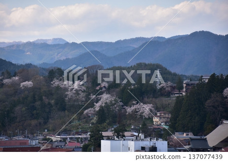 Takayama City, Gifu Prefecture, Japan: Beautiful mountains surrounding the city and cherry blossoms in full bloom. A streetscape of old and new houses. View from Shiroyama Park. 137077439