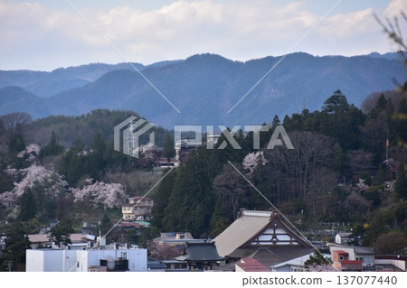 Takayama City, Gifu Prefecture, Japan: Beautiful mountains surrounding the city and cherry blossoms in full bloom. A streetscape of old and new houses. View from Shiroyama Park. 137077440