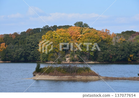 Kobuchi Pond (Kobuchi Park, Higashiueda-cho, Takamatsu City, Kagawa Prefecture) 137077654