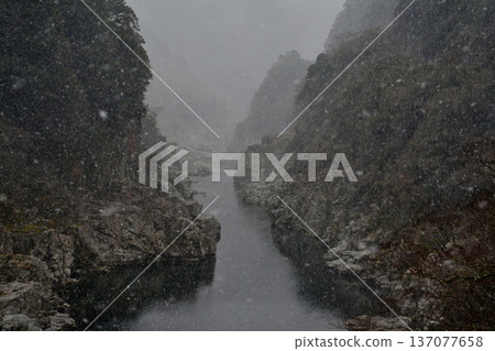 Winter in Oboke Valley (Yamashirocho, Miyoshi City, Tokushima Prefecture) Winter in Oboke Valley (Yamashirocho, Miyoshi City, Tokushima Prefecture) 137077658