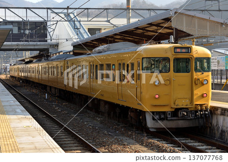 Six 115 series local trains on the Hakubi Line nearing retirement 137077768