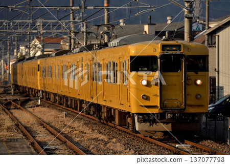 白眉線上有六列115系地方列車正在行駛。 白眉線上有六列115系地方列車正在行駛。 137077798