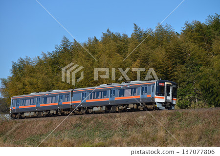 Kiha 75 system high speed Mie 2 both running Sannomiya line 137077806