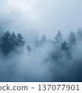 Forest wrapped in fog 137077901