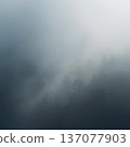 Fog wrapped in fog 137077903