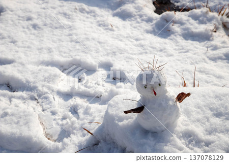 用天然材料製成的雪人 用天然材料製成的雪人 137078129