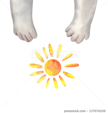 Cute koala paws near children drawing sun. Hand-painted watercolor illustration isolated on white background for kids branding, cards, art studios, workshops, prints, packaging, creative designs 137078209