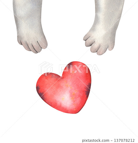 Cute koala paws near children drawing heart. Hand-painted watercolor illustration isolated on white for kids branding, Valentine Day cards, art studios, workshops, prints, packaging, creative designs Cute koala paws near children drawing heart. Hand-painted watercolor illustration isolated on white for kids branding, Valentine Day cards, art studios, workshops, prints, packaging, creative designs 137078212