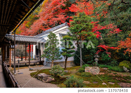 Serene Sand and Stone Garden in Kyoto Hojo Garden Nov 26 2025 Serene Sand and Stone Garden in Kyoto Hojo Garden Nov 26 2025 137078438