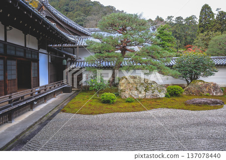 Serene Sand and Stone Garden in Kyoto Hojo Garden Nov 26 2025 Serene Sand and Stone Garden in Kyoto Hojo Garden Nov 26 2025 137078440