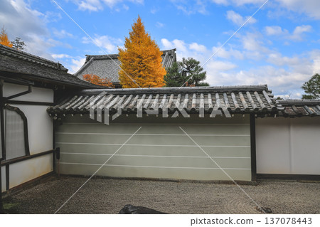 Serene Sand and Stone Garden in Kyoto Hojo Garden Nov 26 2025 137078443