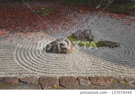 Serene Sand and Stone Garden in Kyoto Hojo Garden Nov 26 2025 137078448