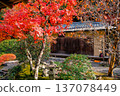 Elegant Hojo Garden at Historic Nanzen ji Temple Kyoto Nov 26 2025 137078449