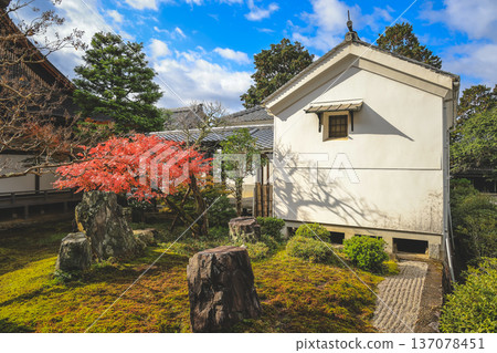 Autumn Colors Surround Zen Garden at Kyoto Hojo Garden Nov 26 2025 137078451