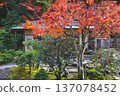 Autumn Colors Surround Zen Garden at Kyoto Hojo Garden Nov 26 2025 137078452