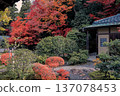 Autumn Colors Surround Zen Garden at Kyoto Hojo Garden Nov 26 2025 137078453