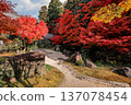Autumn Colors Surround Zen Garden at Kyoto Hojo Garden Nov 26 2025 137078454