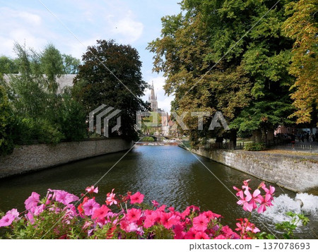 比利時布魯日的水道 137078693