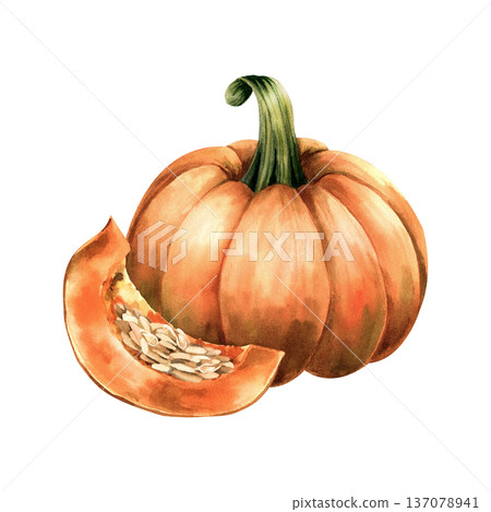Watercolor illustration orange pumpkin and ripe piece with pulp and raw seeds. Botanical texture composition for autumn recipes, food packaging, cooking blogs, seasonal harvest. Isolated clip art Watercolor illustration orange pumpkin and ripe piece with pulp and raw seeds. Botanical texture composition for autumn recipes, food packaging, cooking blogs, seasonal harvest. Isolated clip art 137078941