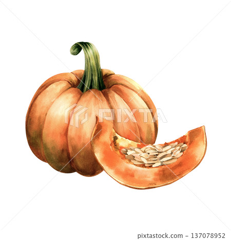 Watercolor illustration orange pumpkin and ripe piece with pulp and raw seeds. Botanical texture composition for autumn recipes, food packaging, cooking blogs, seasonal harvest. Isolated clip art Watercolor illustration orange pumpkin and ripe piece with pulp and raw seeds. Botanical texture composition for autumn recipes, food packaging, cooking blogs, seasonal harvest. Isolated clip art 137078952