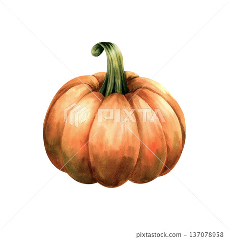 Watercolor orange pumpkin isolated on white background. Hand drawn autumn vegetable illustration for Thanksgiving or Halloween design 137078958