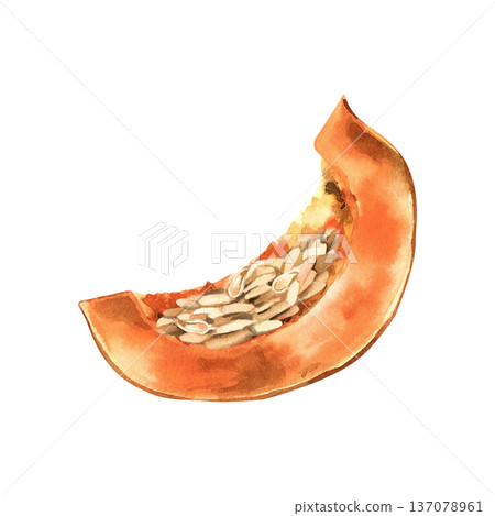 Watercolor slice of fresh pumpkin with seeds and pulp isolated on transparent background. Watercolor slice of fresh pumpkin with seeds and pulp isolated on transparent background. 137078961