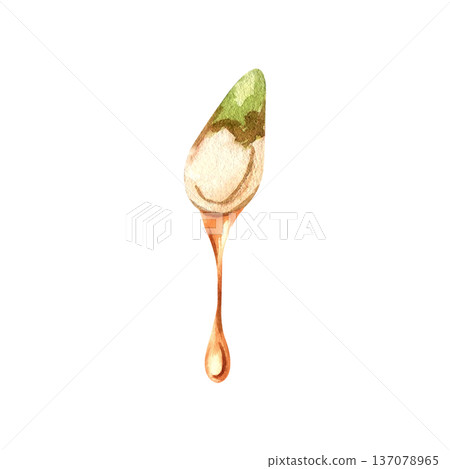 Watercolor pumpkin seed with a golden oil drop illustration. Watercolor pumpkin seed with a golden oil drop illustration. 137078965