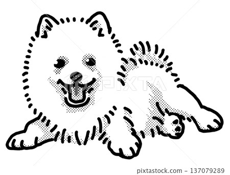 Spitz puppy black and white transparent background dog illustration Spitz puppy black and white transparent background dog illustration 137079289