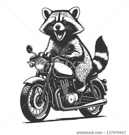 Funny Raccoon Riding Motorcycle vector Funny Raccoon Riding Motorcycle vector 137079427