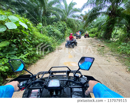 ATV excursion through tropical rainforest with riders navigating a dirt path surrounded by lush greenery and palm trees in a vibrant outdoor setting ATV excursion through tropical rainforest with riders navigating a dirt path surrounded by lush greenery and palm trees in a vibrant outdoor setting 137079515