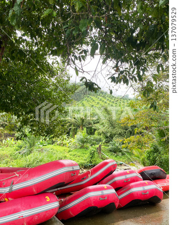 Rafting boats in vibrant pink color stacked on the ground, surrounded by lush greenery and trees in a scenic outdoor setting near a river Rafting boats in vibrant pink color stacked on the ground, surrounded by lush greenery and trees in a scenic outdoor setting near a river 137079529