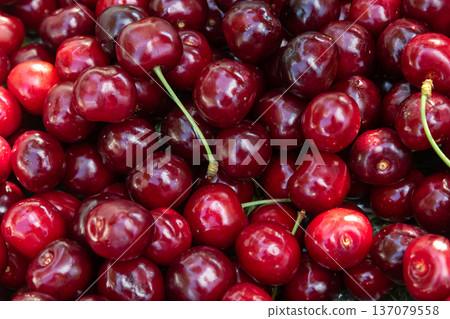 Fresh red cherries stacked together at a local market under bright sunlight during summer harvest season 137079558