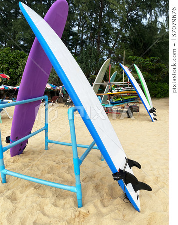 Surfboards displayed on a rack at a beach rental shop, with colorful boards and sandy ground visible in a tropical setting Surfboards displayed on a rack at a beach rental shop, with colorful boards and sandy ground visible in a tropical setting 137079676