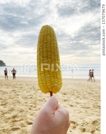 Hand holding a boiled corn on a stick against a beach backdrop with people enjoying the ocean waves and cloudy sky in the background Hand holding a boiled corn on a stick against a beach backdrop with people enjoying the ocean waves and cloudy sky in the background 137079679