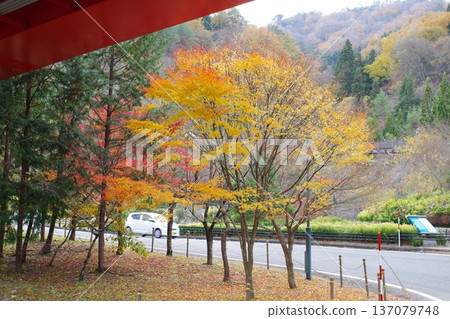 安基奧塔町 Nukui 大壩的楓葉景色 137079748