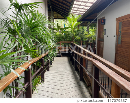 Tropical indoor walkway with wooden railing surrounded by lush green plants and natural light filtering through a glass roof in a modern architectural setting Tropical indoor walkway with wooden railing surrounded by lush green plants and natural light filtering through a glass roof in a modern architectural setting 137079887