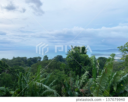 Lush tropical vegetation overlooking the coastline of Phuket, Thailand, with a cloudy sky and distant hills visible in the background Lush tropical vegetation overlooking the coastline of Phuket, Thailand, with a cloudy sky and distant hills visible in the background 137079940